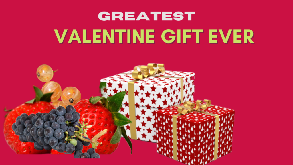 Best Val gift&nbsp;ever