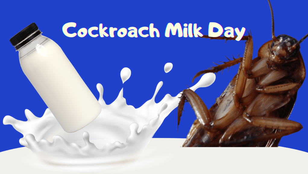 Nutritional value of Cockroach&nbsp;Milk